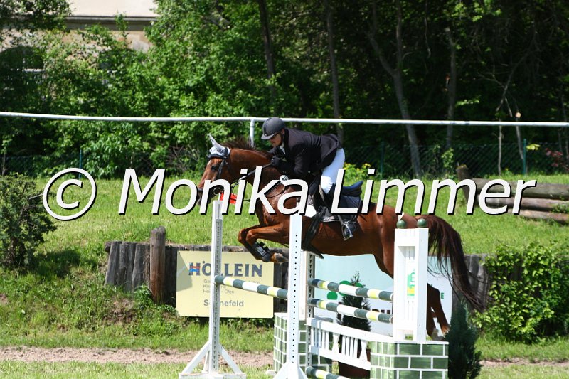 005M5399_Callisto_L Springen.JPG